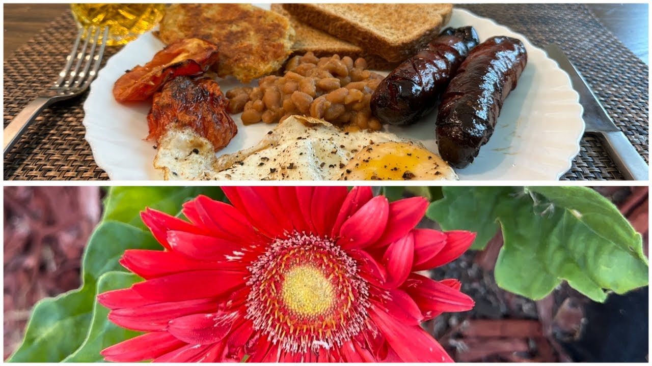 ছেলে মেয়ে বানালো আজকের breakfast। America এর বাড়ির গাছ গুলো কী সব মরে গেলো?