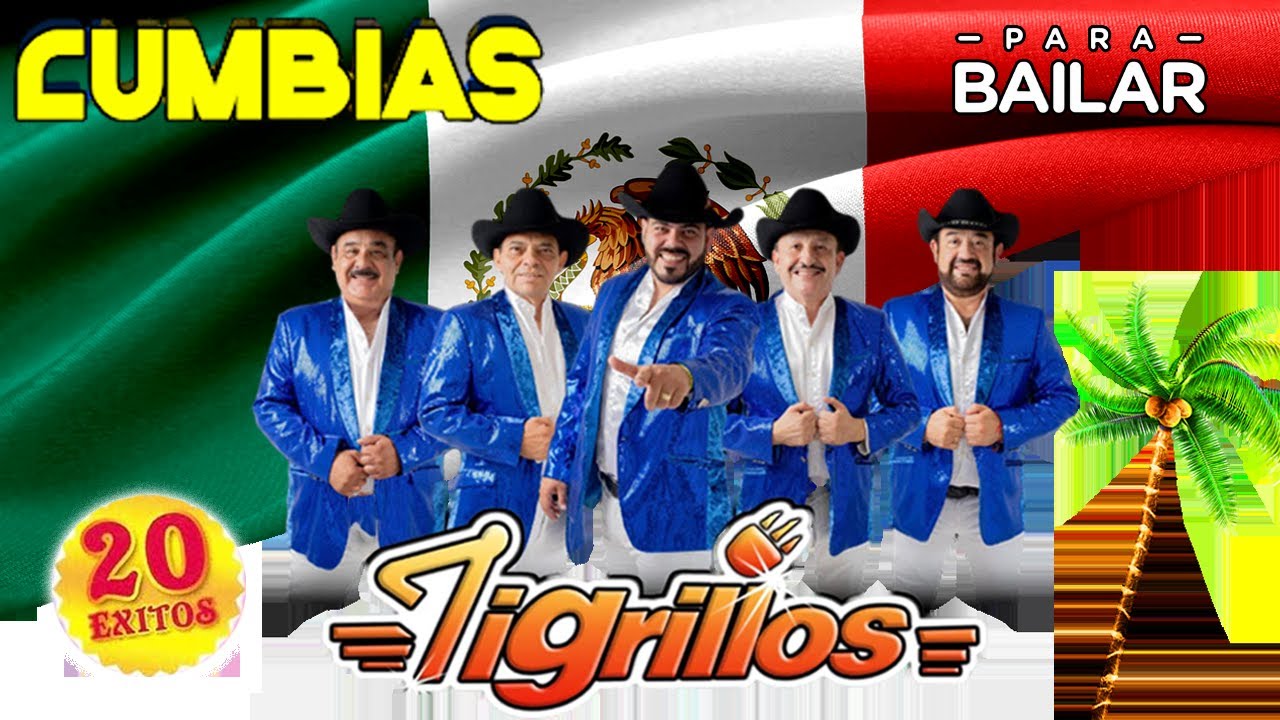 ⁓Tigrillos Mix Cumbias Para Bailar - Gran Música Pura En Su Cumbias Viejitas Pero Buenas🔥
