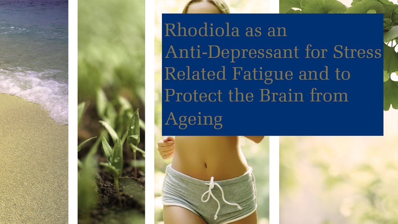 Rhodiola as an Anti-Depressant for Stress Related Fatigue and to Protect the Brain from Aging