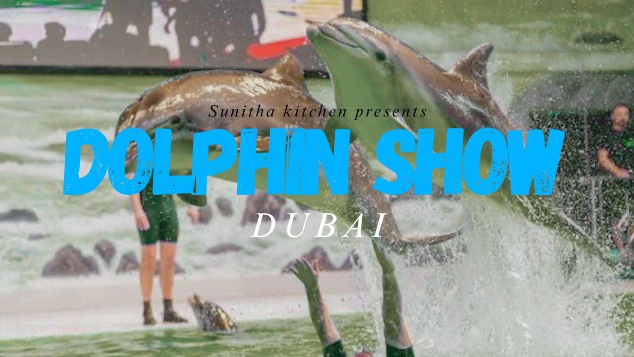 DOLPHN SHOW Sunitha kitchen 
