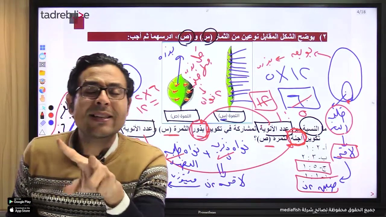 حل الاختبار التفاعلي 34 - مذكرة الاختبارات الجزئيه من ص 102 ل ص 105