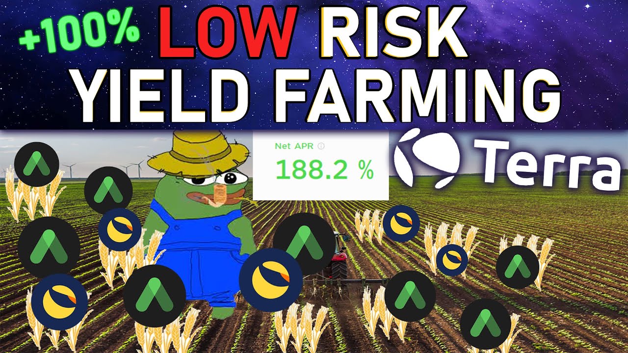 100%+ Yield To BORROW Money | Terra Luna Anchor Protocol