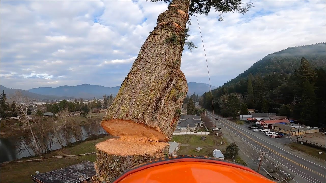 CUTTING MASSIVE LIMBS (tips and tricks)