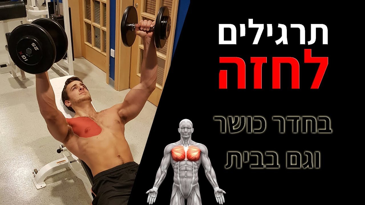 תרגילים לחזה - תרגילי חזה בחדר כושר וגם בבית
