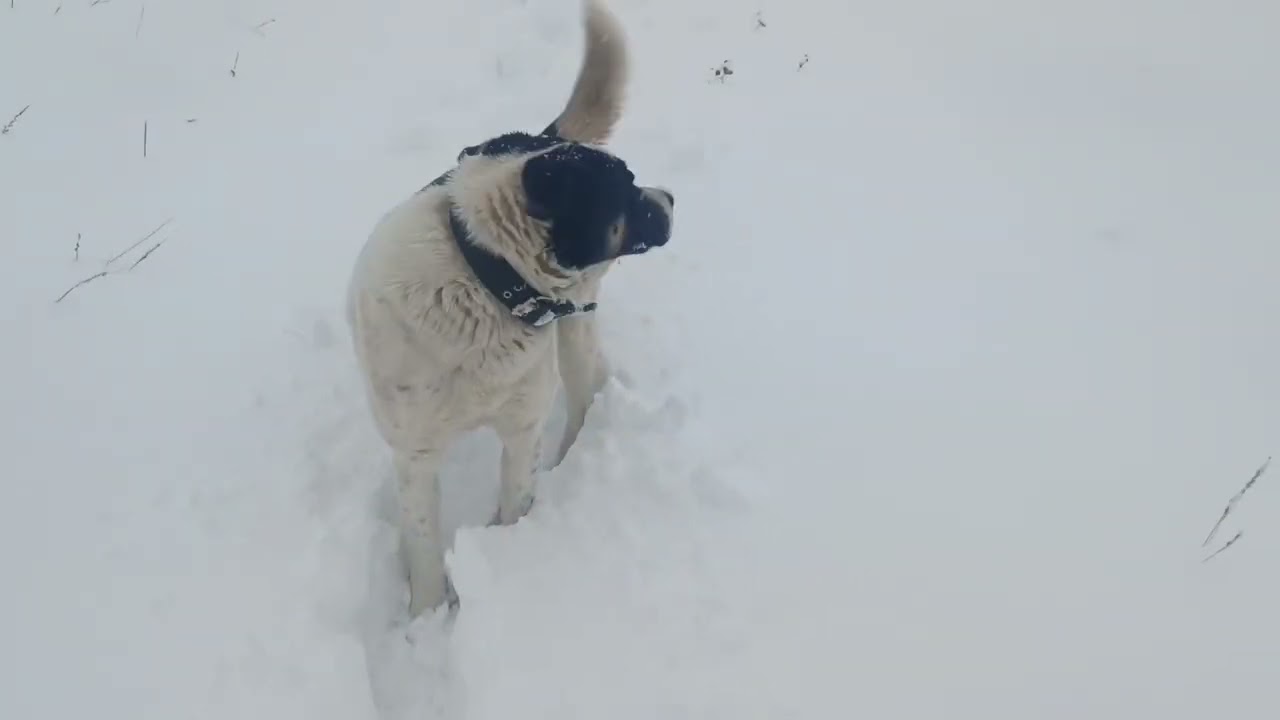 Зимушка зима.