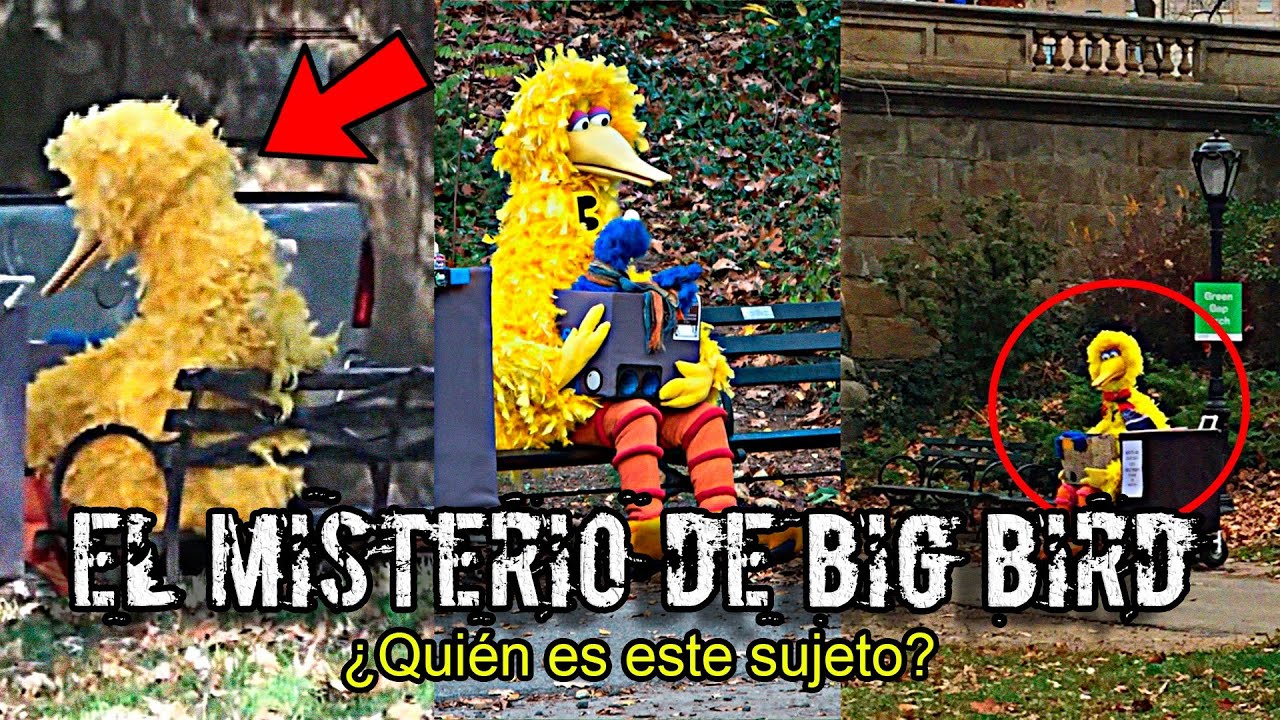 EL MISTERIO de BIG BIRD que se Aparece TODAS las MADRUGADAS en un PARQUE