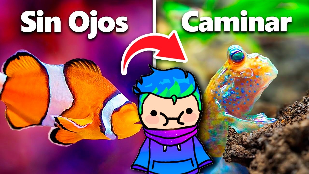 Conseguí Los 7 Peces Mascota Más Extraños🐠🌷🐟 / Carlos Infinito REACCIONA TerraVerde Español