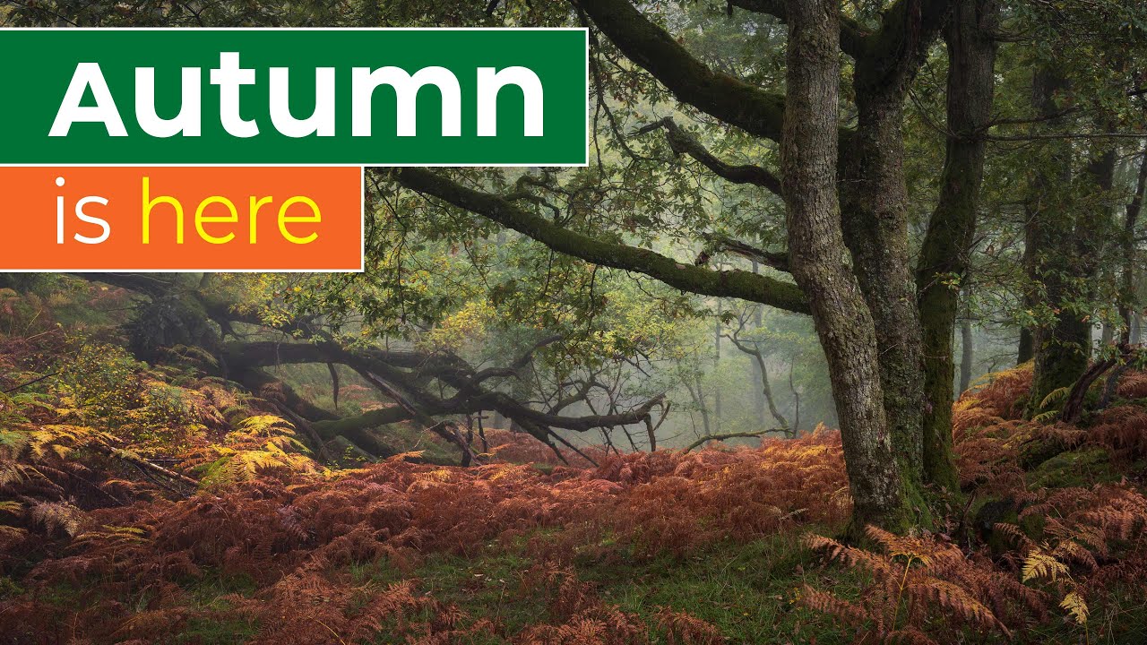 AUTUMN IS HERE! - Landscape Photography in the Lake District