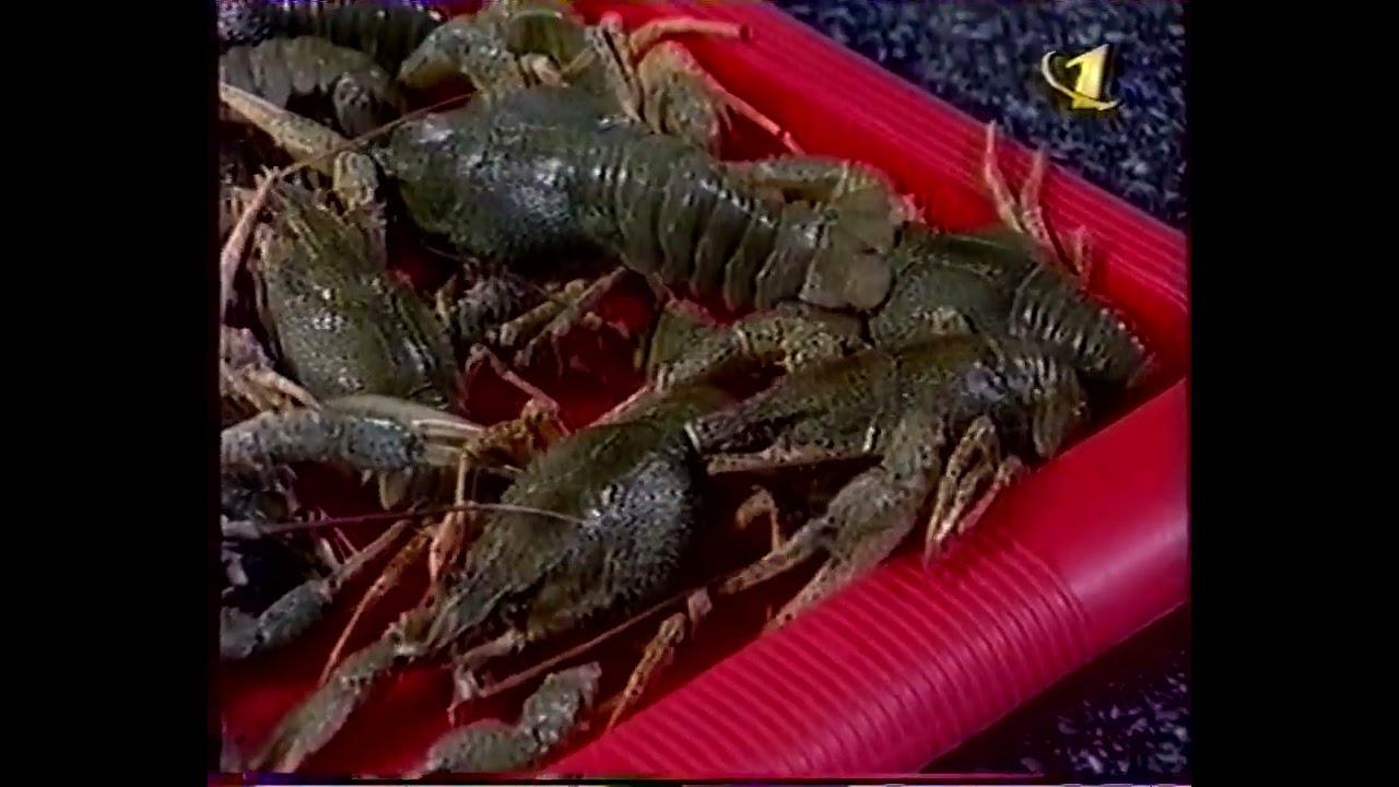 Смак (ОРТ, 30.05.1998) Роман Карцев