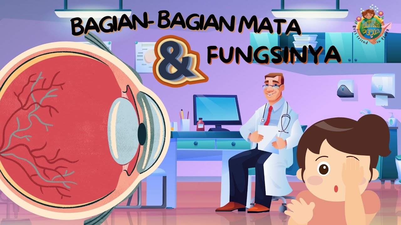 BAGIAN-BAGIAN MATA DAN FUNGSINYA