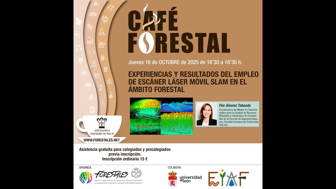 CAFÉ FORESTAL 