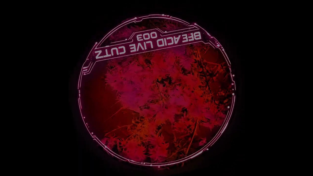 BFE ACID LIVE CUTZ 003