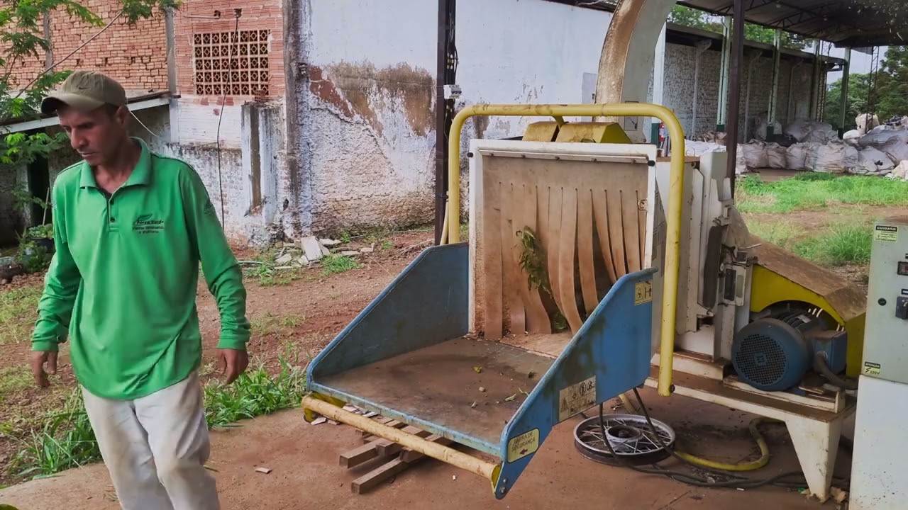 Como é o descarte das podas, feitas na jardinagem? Trituração de galhos 