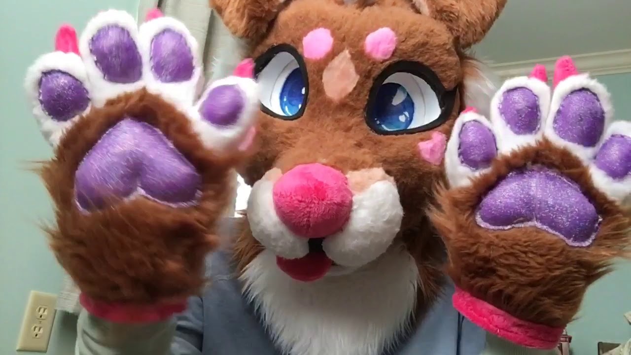 Furry ASMR: Roxi’s Introduction and Visual Triggers