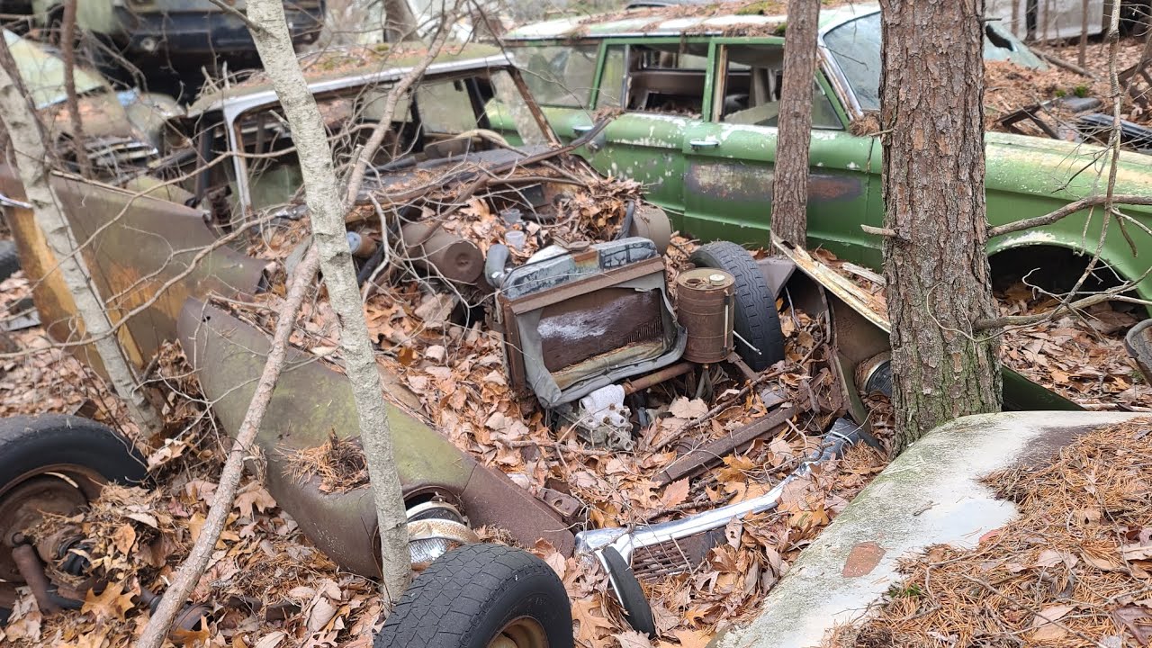Junkyard Highlights 1/23/26