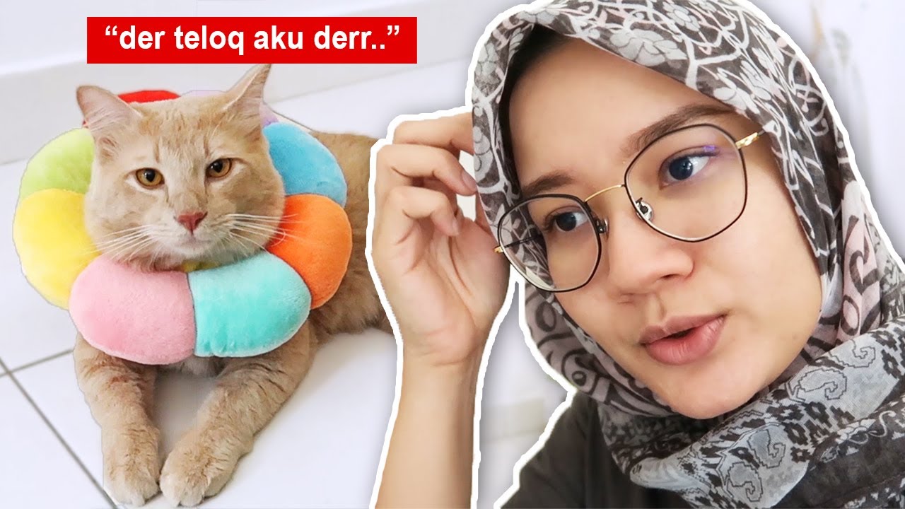 Laa kucing sunat pun kena pantang | Hidup Shazz #147