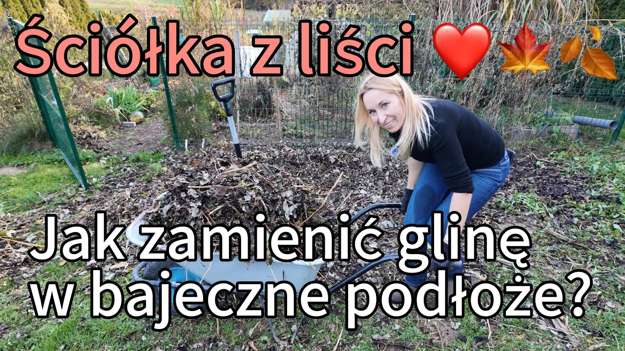 Sekret żyznej gleby — liście, zrębki i ściółka, która robi cuda