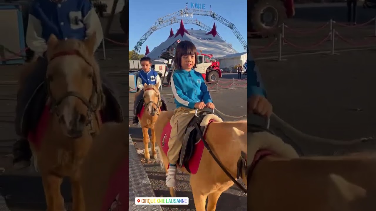 📍knie Circus 2022 ✨