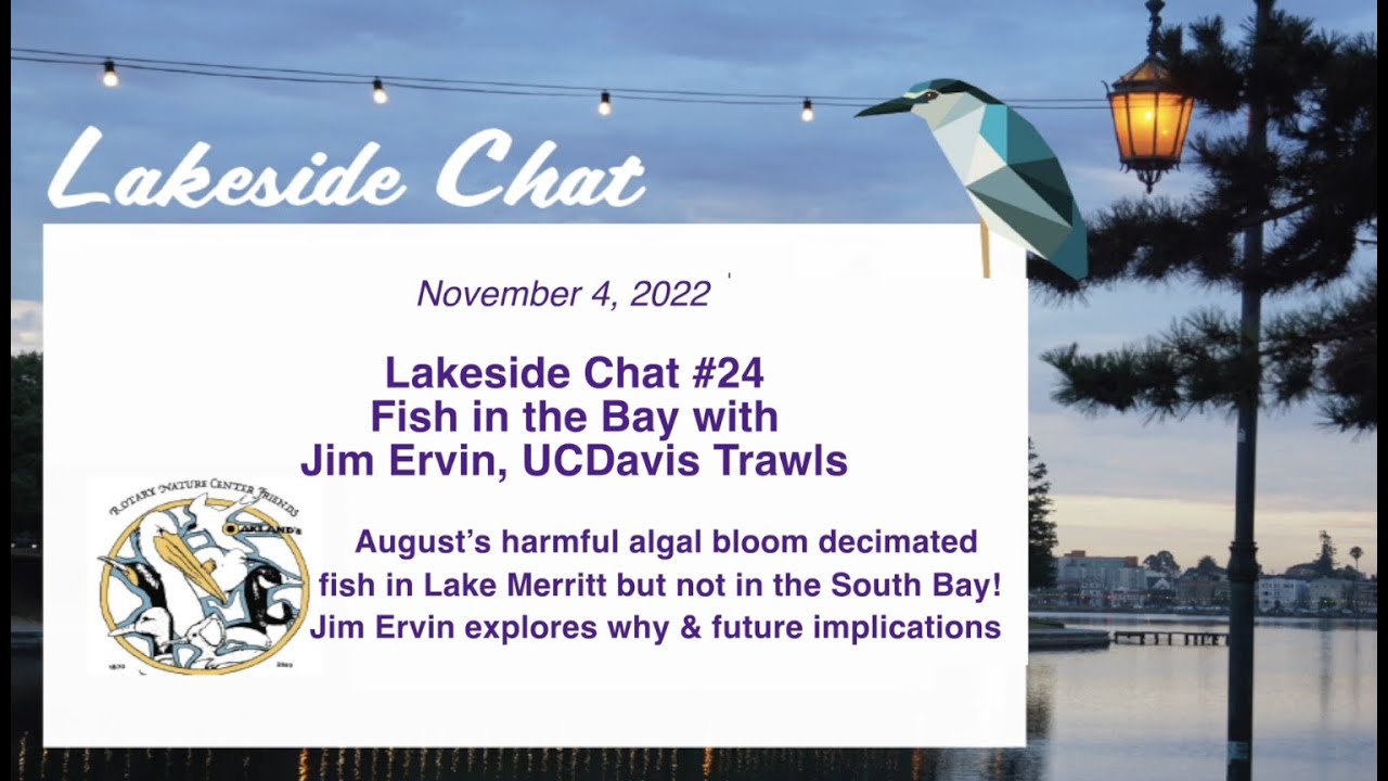 Lakeside Chat #24 - Fish in the Bay with Jim Ervin, UCDavis Trawls