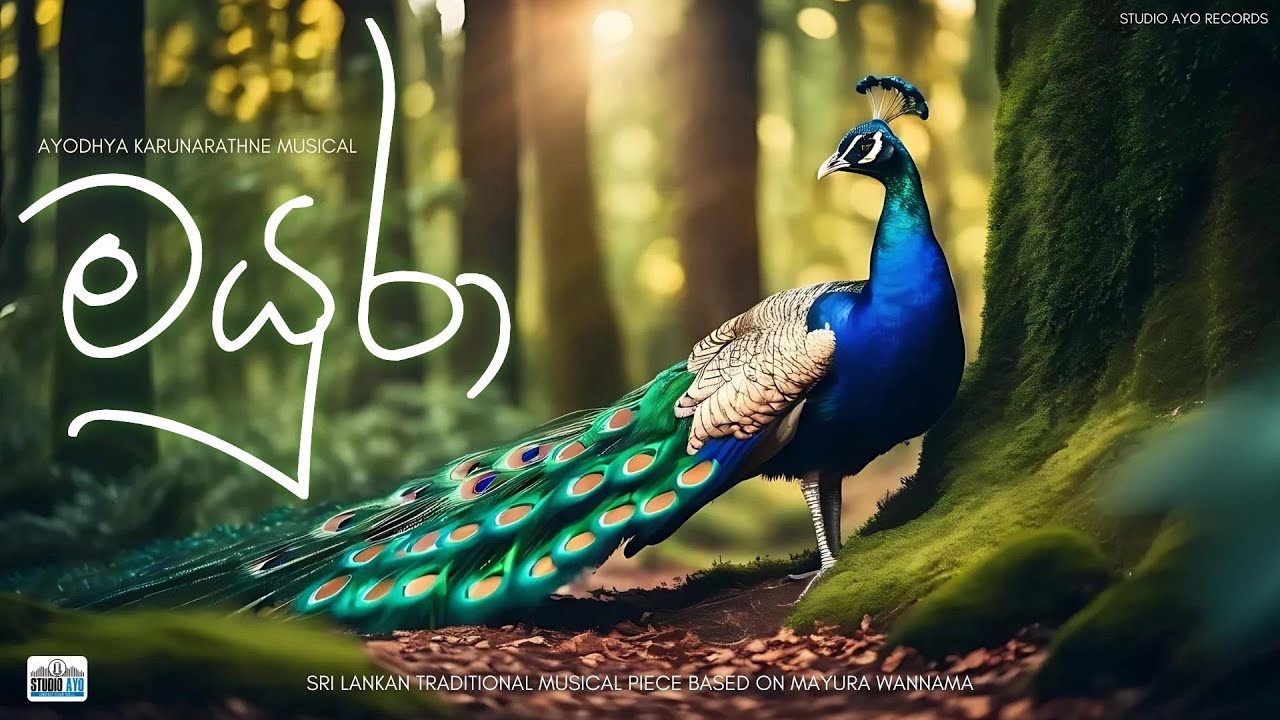 Mayura | Ayodhya Karunarathne | Sri Lankan Traditional Musical Piece based on Mayura Wannama