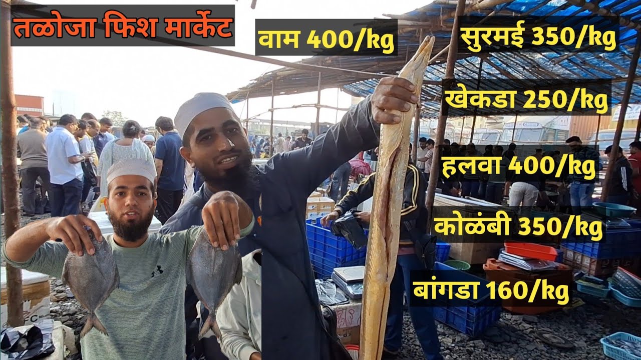 तळोजा होलसेल मच्छी मार्केट - ताजी आणि स्वस्त म्हावरा - Taloja Fish Market,Navi Mumbai