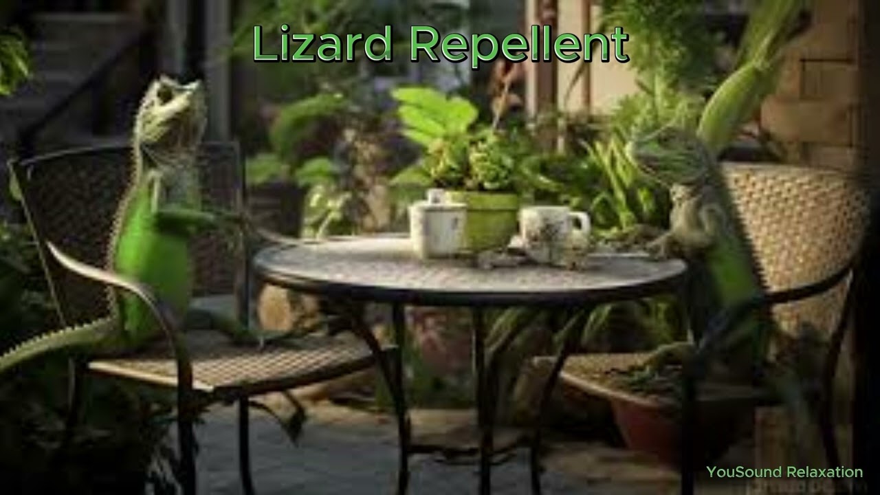 9 Hour Lizard Repellent Sound | Ultrasonic High-Frequency Sound that Repel Lizards