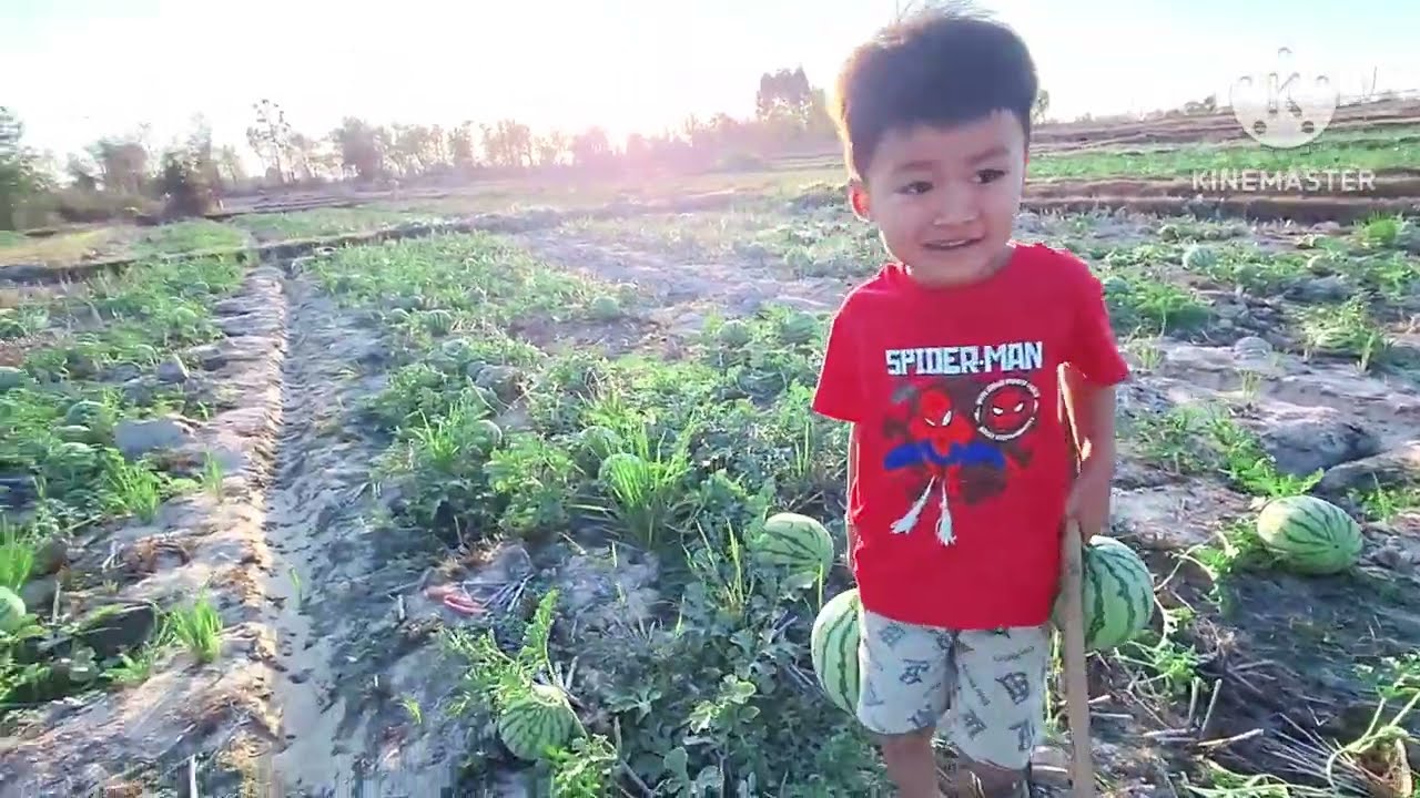 #ชื้อช่อยแน่🍉🍉🍉🍉🍉หลังเลีกเรียนเลาะสวนหมากโม11 กุมภาพันธ์ ค.ศ. 2026