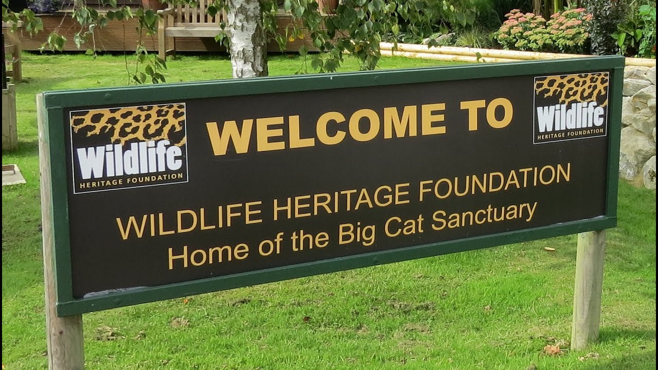 Wildlife Heritage Foundation - Home of the Big Cats Sanctuary