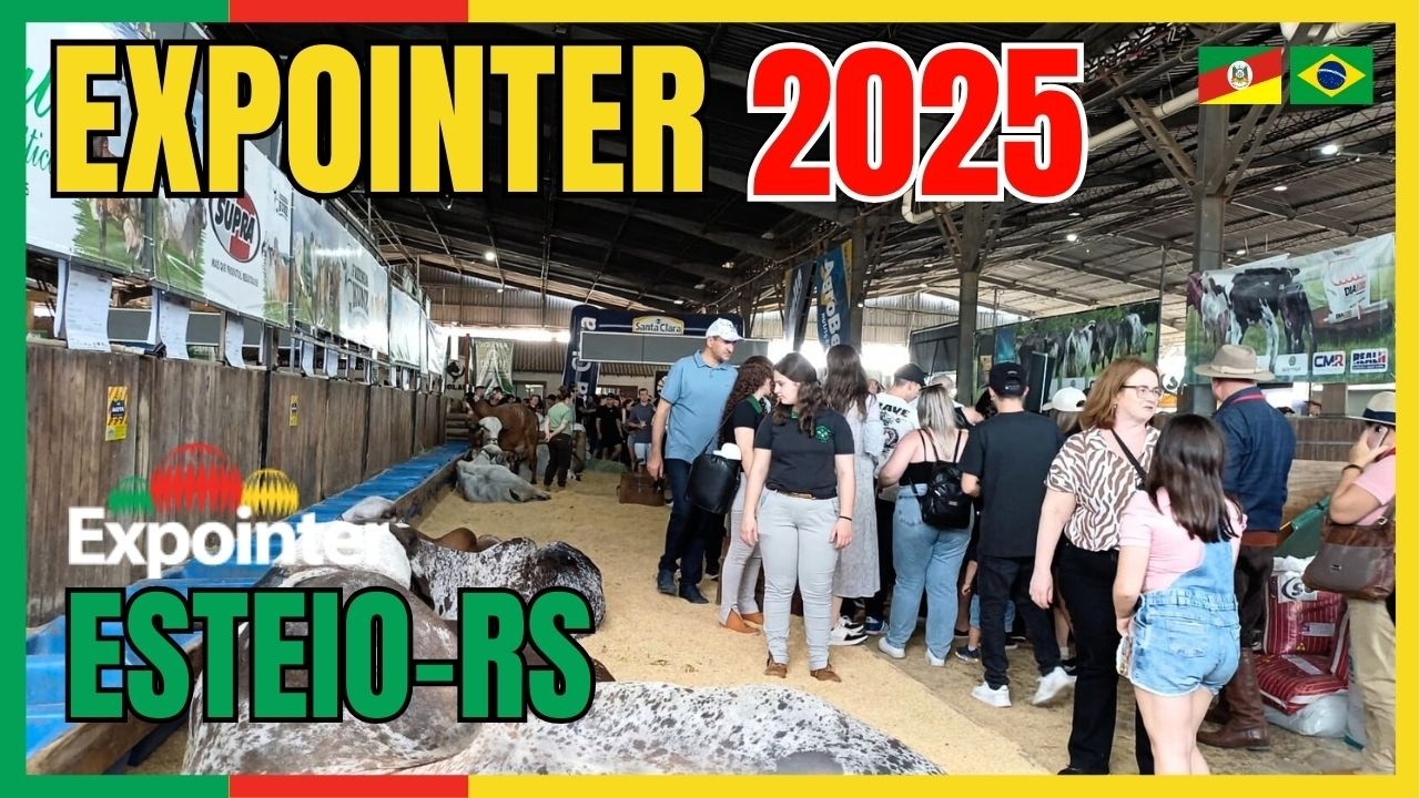 Expointer 2025: O Que Você Vai Encontrar na Maior Feira do Agro!