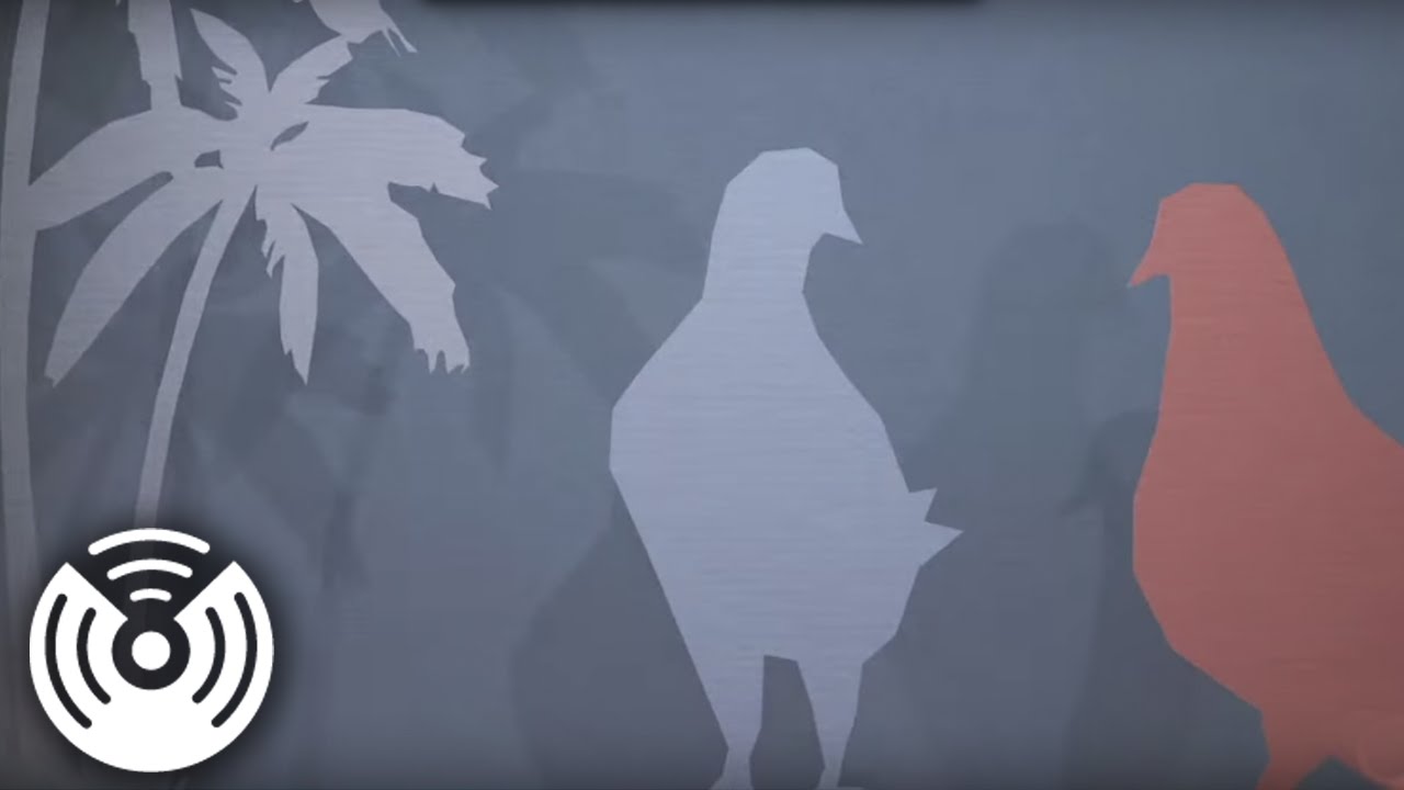 The Low Countries - Sun Street (2015)