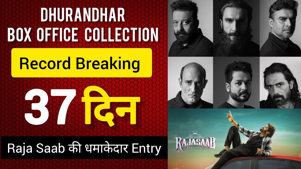 Dhurandhar Box Office Collection | The Raja Saab Box office collection| Filmi MT