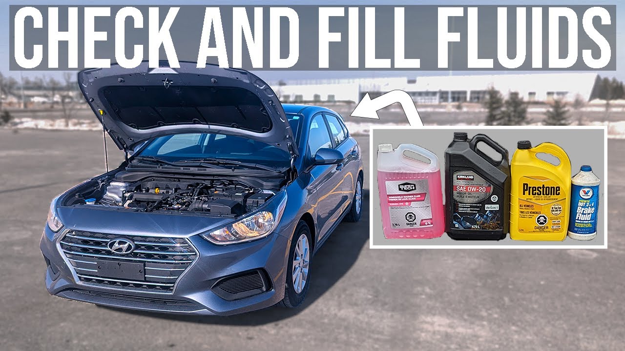How to Check and Fill Fluids [COMPLETE GUIDE] - Hyundai Accent (2018-2023)