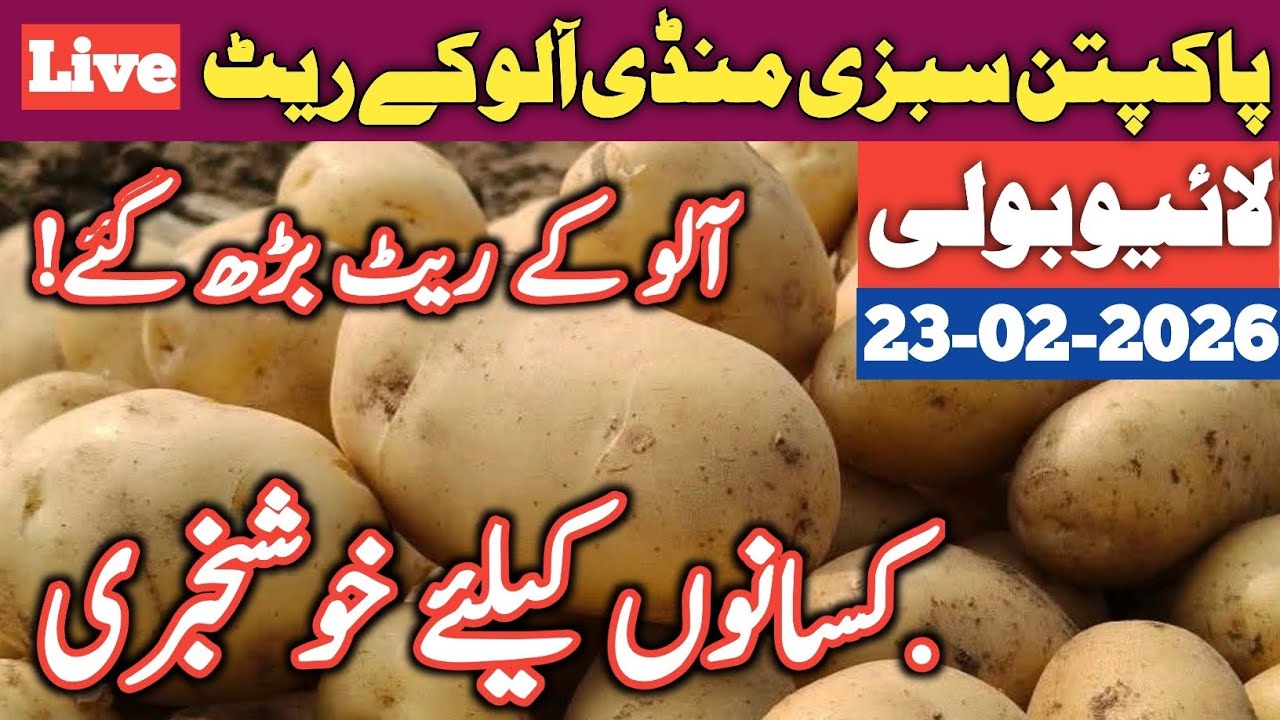 Potato Prices Improved Today | Latest Pakpattan Vegetable Market Update