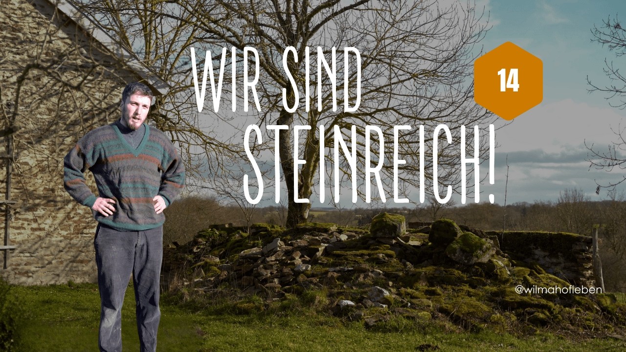 Zu viele Steine? Perfekt! | Beetumrandung & Brennholzsäge | Hofleben in Frankreich No. 14