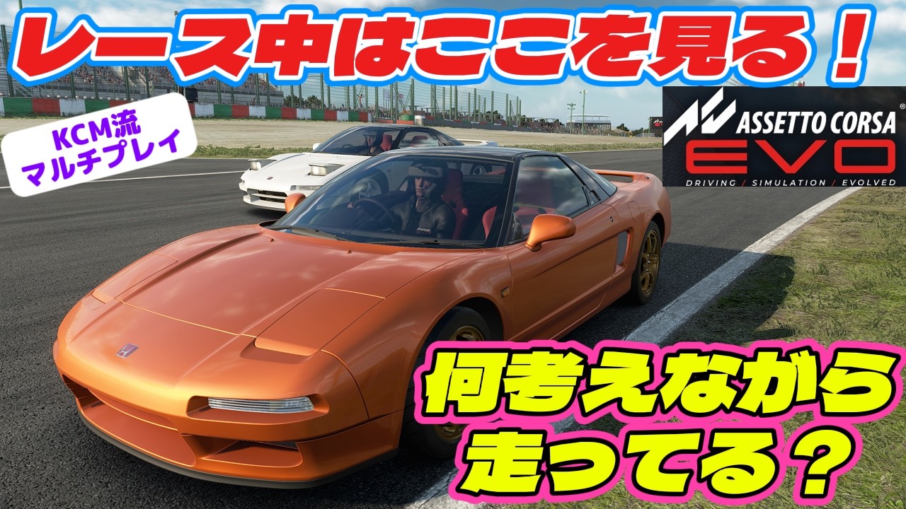 【アセットコルサevo】レース中どこ見てる？何考えてる？  ※5chへの転載禁止！【Assetto Corsa EVO】