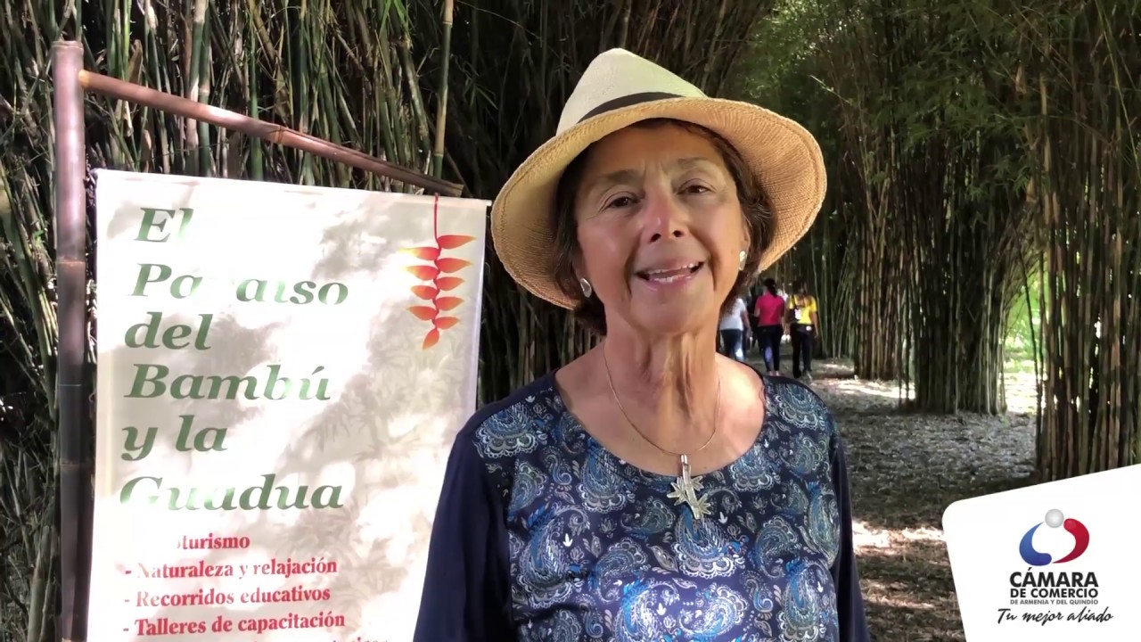 El Paraíso del Bambú y la Guadua - Quindiano conoce tu Quindío