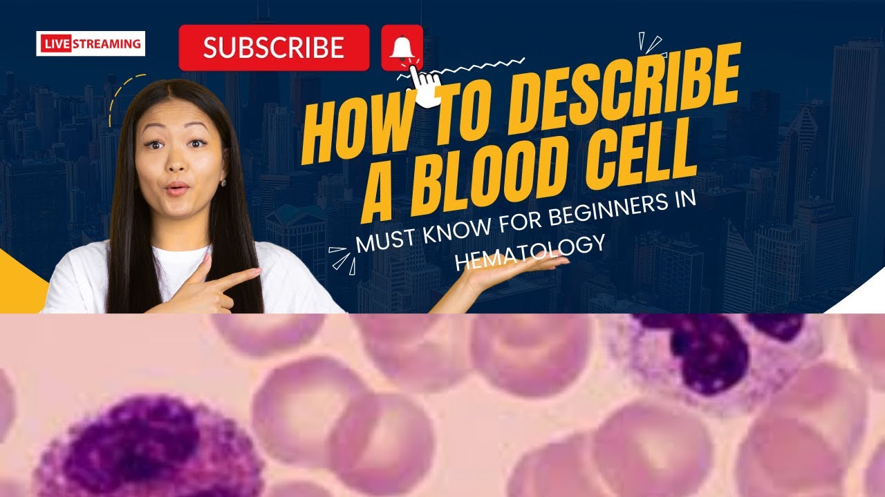 How to describe a Blood cell in a pheripheral blood smear | GBP for beginners | Basics of hematology