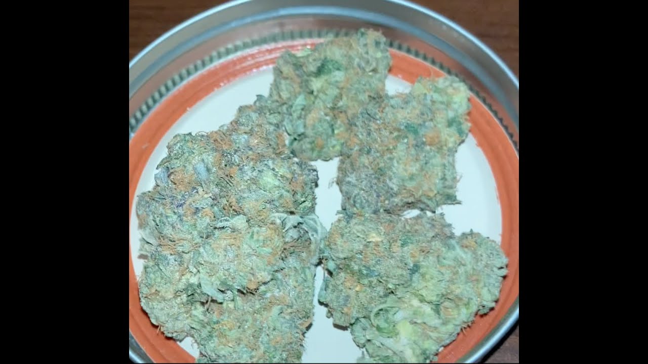 Banana Runtz - Strain Review #7