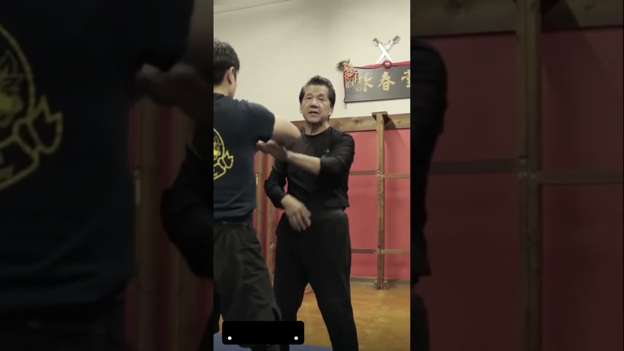 Wooden Dummy Application | Wing Chun