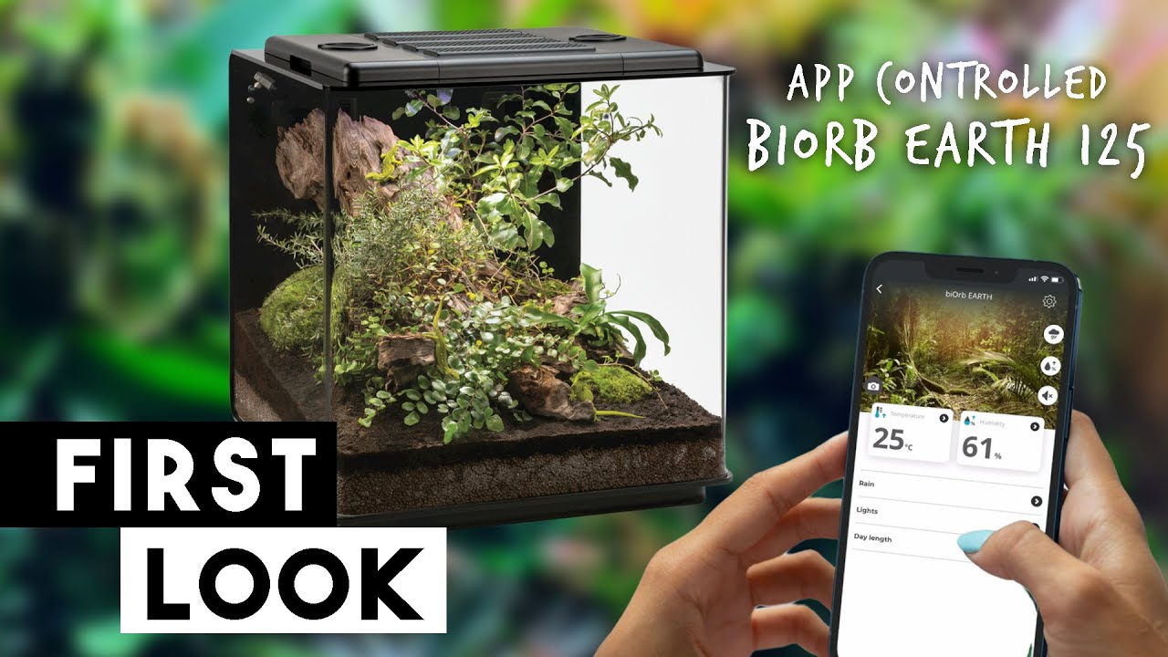 Стоит ли он больше 1000 фунтов? ОЧЕНЬ ЧЕСТНЫЙ BiOrb Earth 125: распаковка/первый взгляд 😬