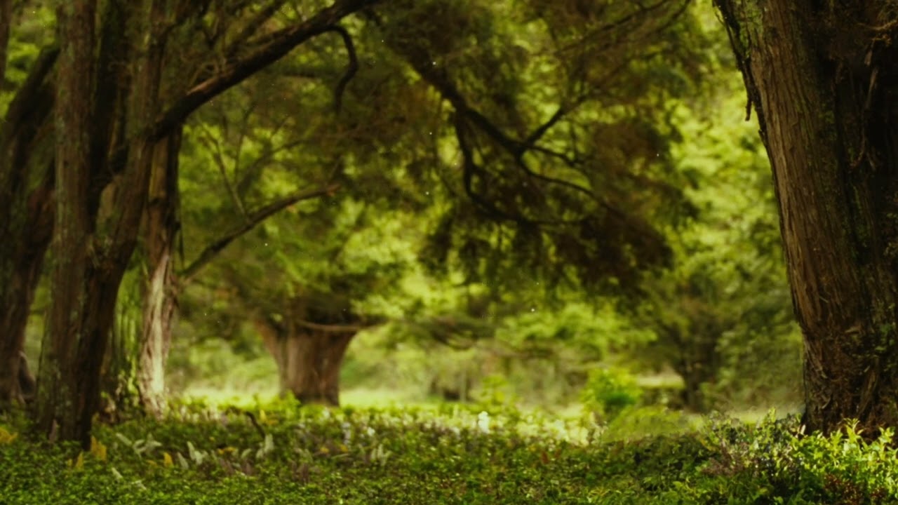 Samwise the Brave - Lord of the Rings Trilogy Ambiance and Soundtrack Mix