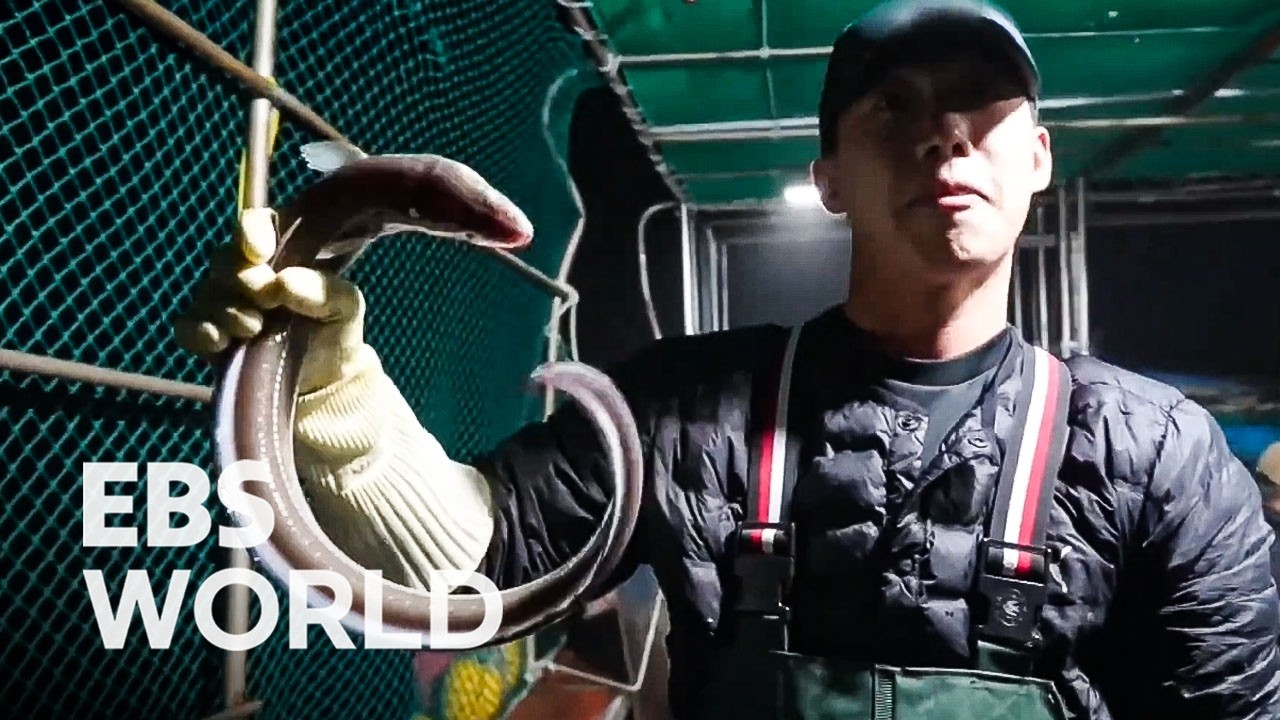 [ENG SUB] From Taxi Driver To Eel Fisherman The Hard But Profitable Life At Sea 