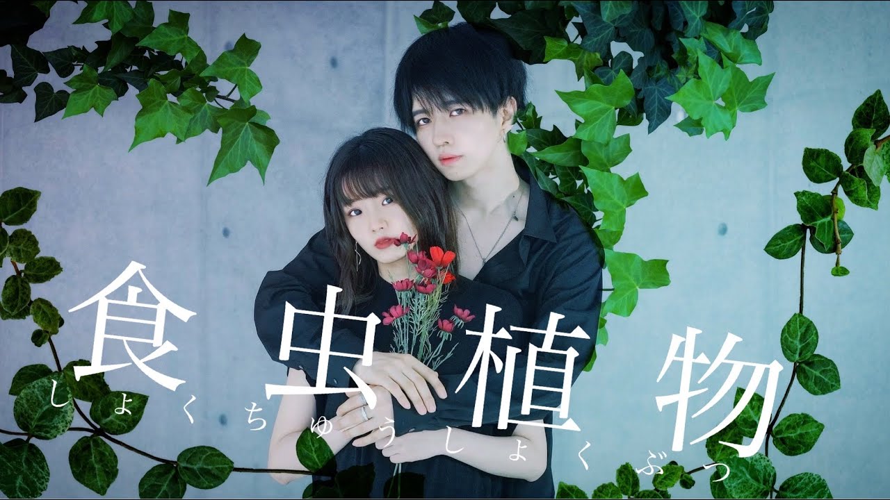 【オリジナル振り付け】食虫植物　踊ってみた　4K【ぶきてろ】