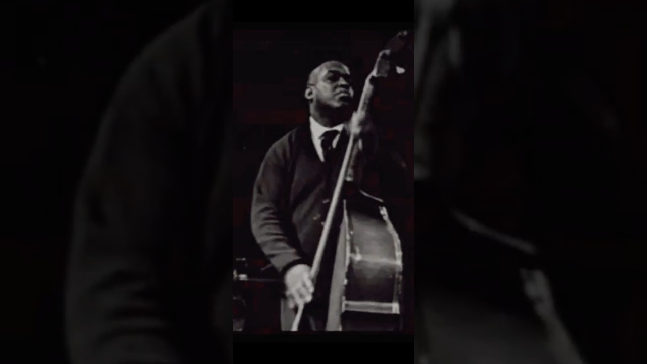 Willie Dixon - Bassology &iquest;Qu&eacute; hay en el fondo del pulso?   #shorts #jazz #m&uacute;sicajazz #blues