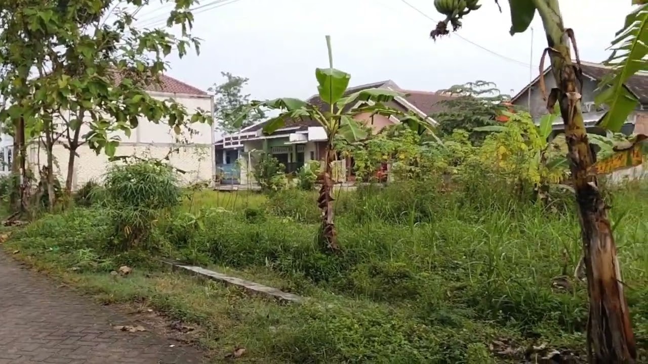 Pintu gerbang menuju desa Brumbung jepon Blora