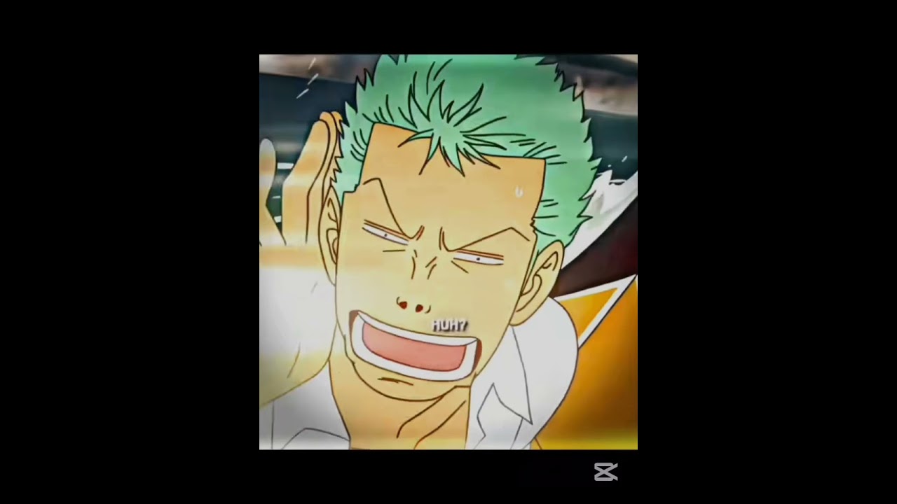 || Roorono Zoro || Vismoke Sanji || Zosan || 🍻🍻🍻 || 🚬🚬🚬 ||