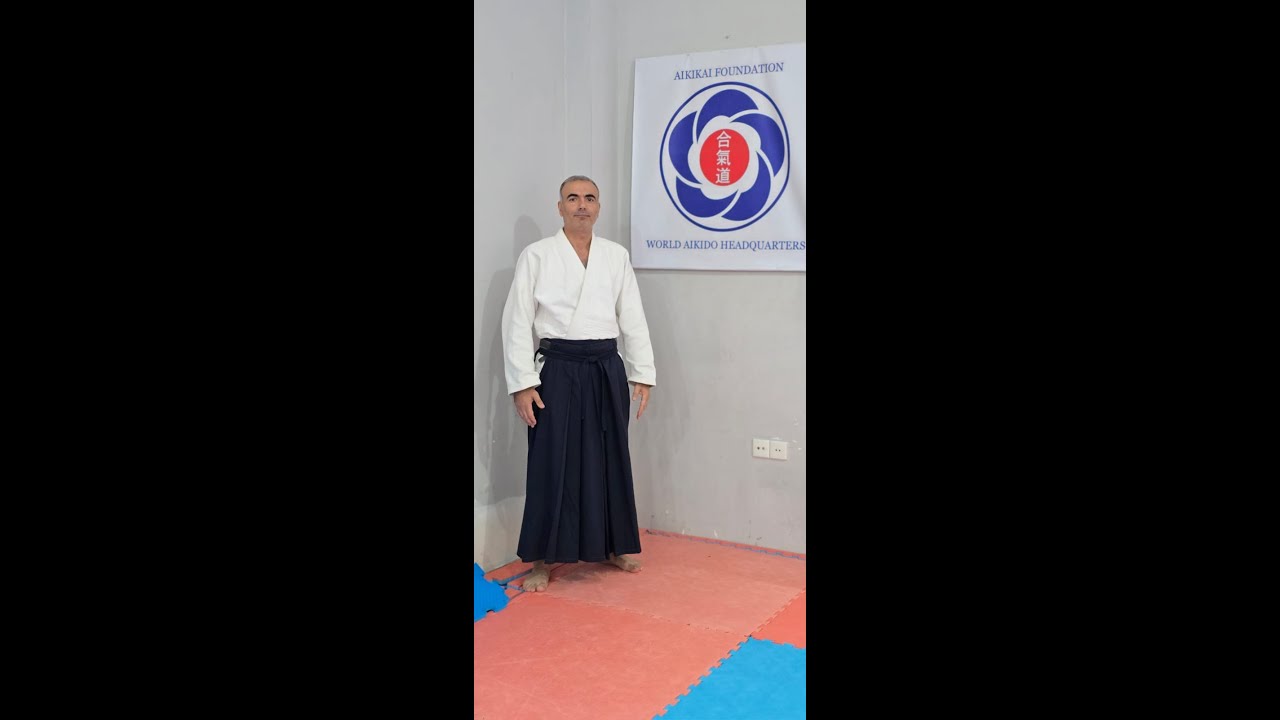 Best moments Azerbaijan Aikikai Clubs Friendship Seminar 2025