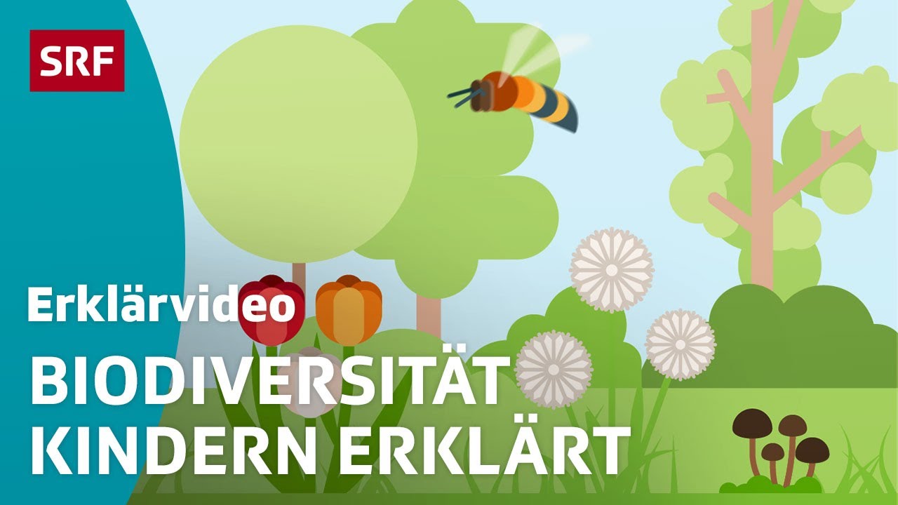 Biodiversität: Die Vielfalt des Lebens auf der Erde – einfach erklärt | Kindervideos | SRF Kids