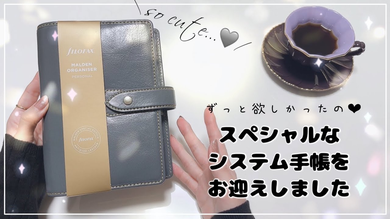 【手帳の紹介】素敵なシステム手帳を購入しました┊言い訳と使い道について