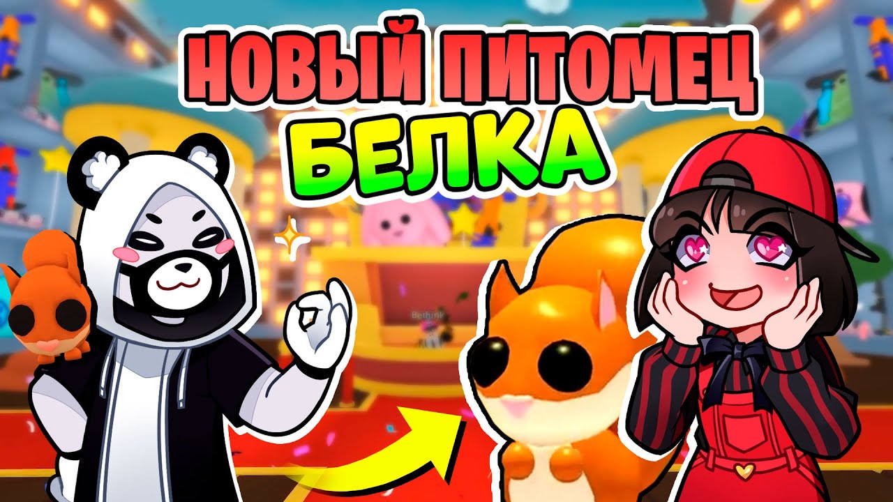 БЕЛКА в НОВОМ МАГАЗИНЕ ИГРУШЕК из Роблокс Адопт Ми? Новости обновления в Roblox Adopt Me